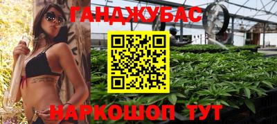 стафф Краснодар