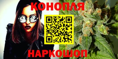 стафф Краснодар