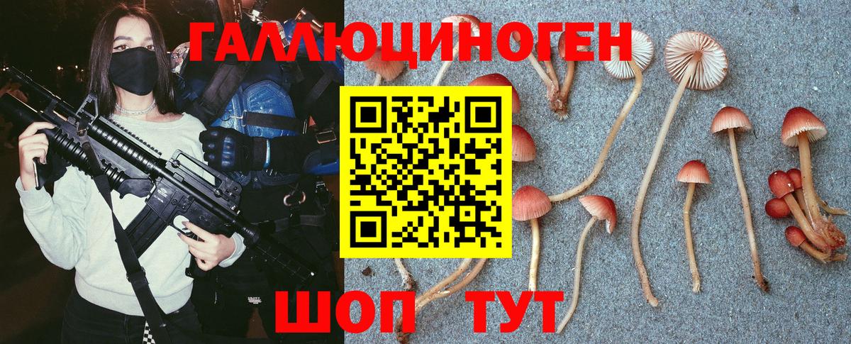 Псилоцибиновые грибы ЛСД Камышин