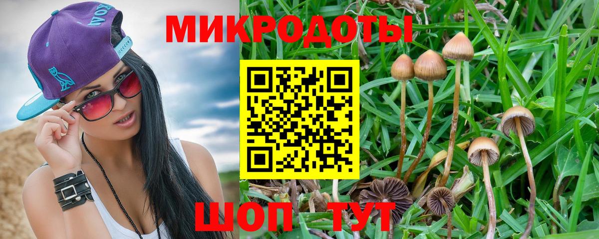 Псилоцибиновые грибы Magic Shrooms  Вход с VPN  Камышин 